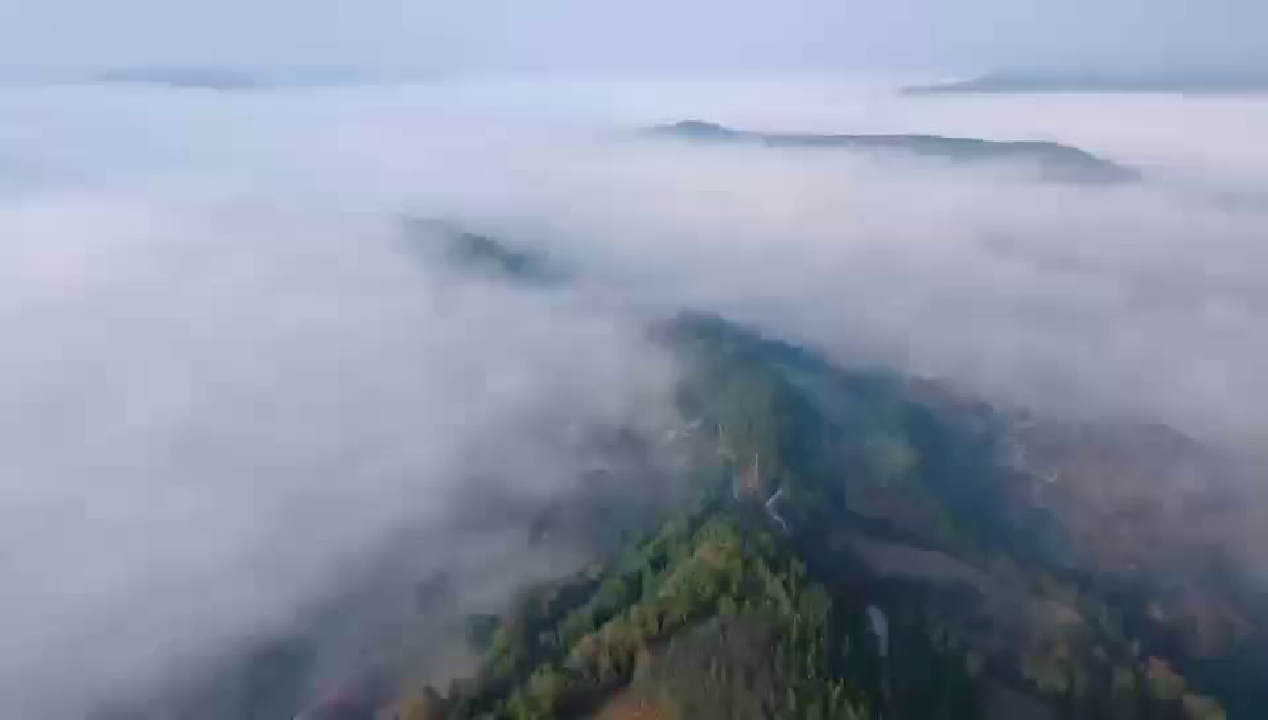 人大与青春同行：商婕一一写在林间地头的履职答卷